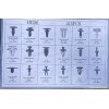LLK 415pcs 18 Size For Ford All Trim Clip Pin