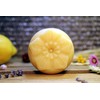 Landseife Organic Shaving Soap Lemon - Handmade Organic Natural Soap