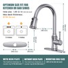 Kitchen Faucet with Pull Down Sprayer, Single Handle High Arc