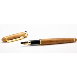 Dryden Designs Luxury Bamboo Fountain Pen with Ink Refill Converter
