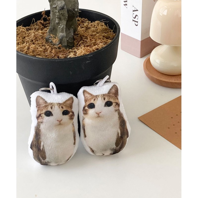 Dederit Funny Sounding Song Sound Cat Owl Plush Keyring
