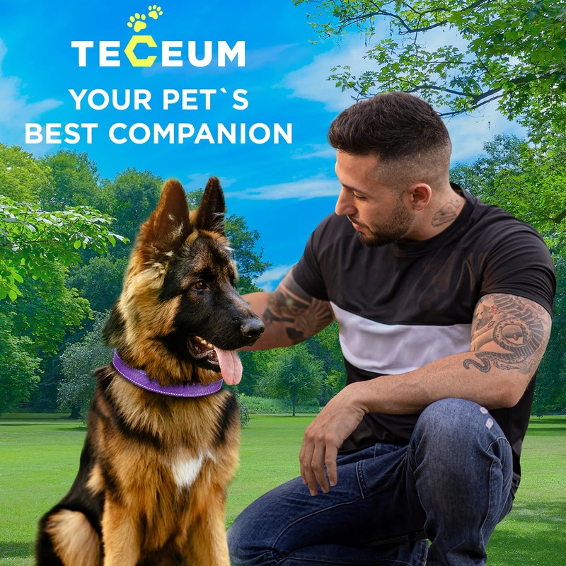 TECEUM Reflective Dog Collar – Purple – M – Extra
