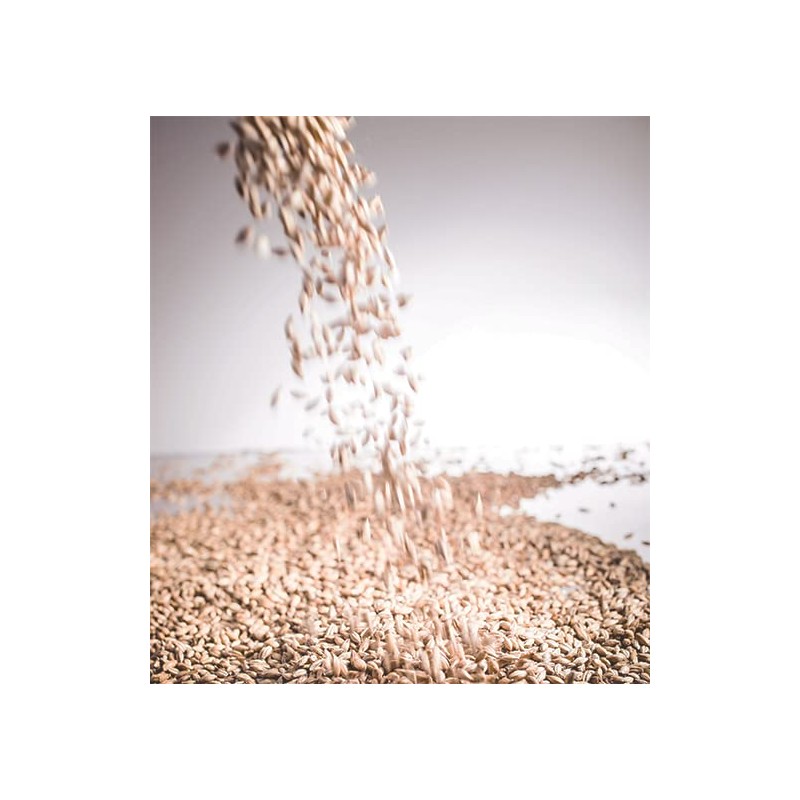 Birch & Meadow 8 oz, Malt Vinegar Powder, Tangy &