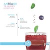 Zaaté Anteaox Blueberry Açaí 0% Azúcar. 700 g. Mezcla de