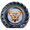 Spin Master Toys Monster Jam MINI Series 15  Pack