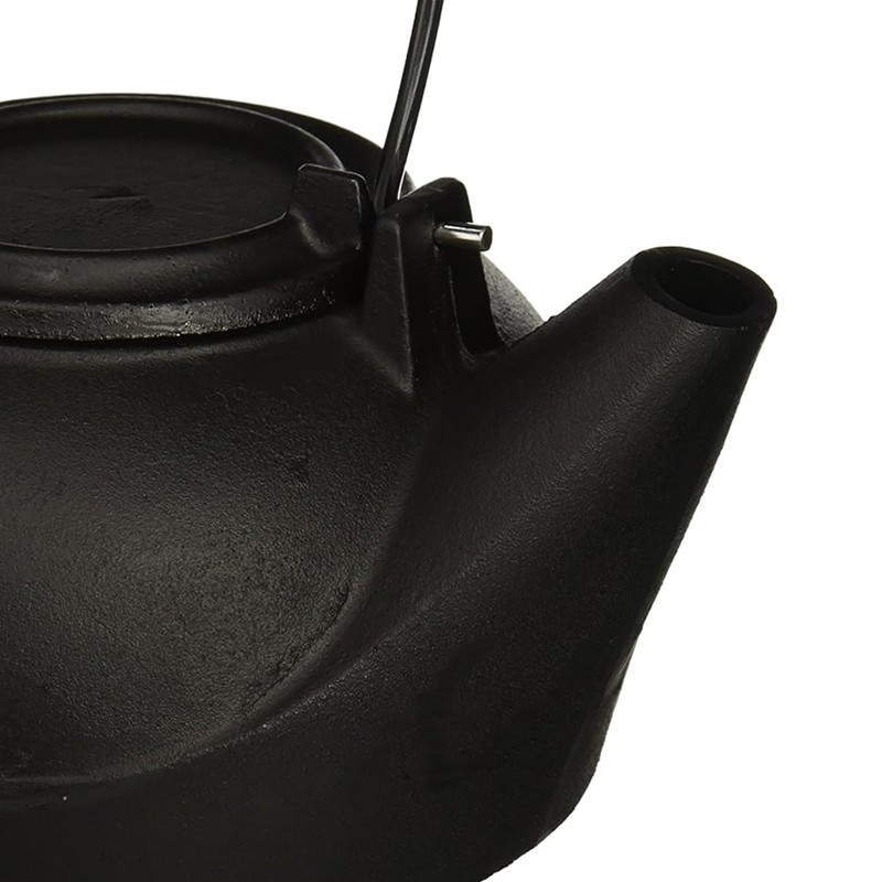 Panacea Products 15321 Humidifying Iron Kettle