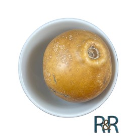 RR LLC Traditional Mexican Guaje Cirial PROMOCIÓN Organic Whole Free Ship FRESH A+ USA - 5 Whole