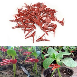Plants Graft Clips, 100PCS Reusable Round Fixing Rings, Grafting Clips Gardening Tools, Flower Connector Clips, Grafting Clip Plant Support Clips, Vegetable Grafting Clip