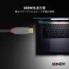 LINDY 1m ANTHRA LINE USB3.2 Gen2x2 Type-C Cable + PD