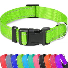 Taglory Reflective Adjustable Dog Collars for Puppy Small Medium Large Dogs, Thin Nylon Webbing and Quick Release Plastic Buckle(Green, XSmall)