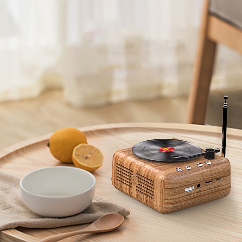 Vinyl Record Bluetooth Speaker Innovative Mini FM Radio HiFi Stereo