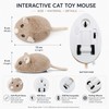 Electric Mouse Cat Toy for Indoor Play – Fast-Moving Plush
