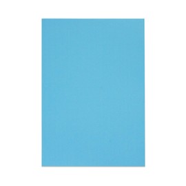 Sonjade Scrapbook Supplies Colored Cardstock Poster Board Crafts Construction Paper, 10 Sheets, 10 x 14.5 Inch, Sky Blue