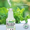 Mighty Mint Mold & Mildew Stain Remover Spray, Rapid Clean