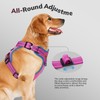 FAYOGOO Dog Harness Medium, No Pull Vest Harness with 2