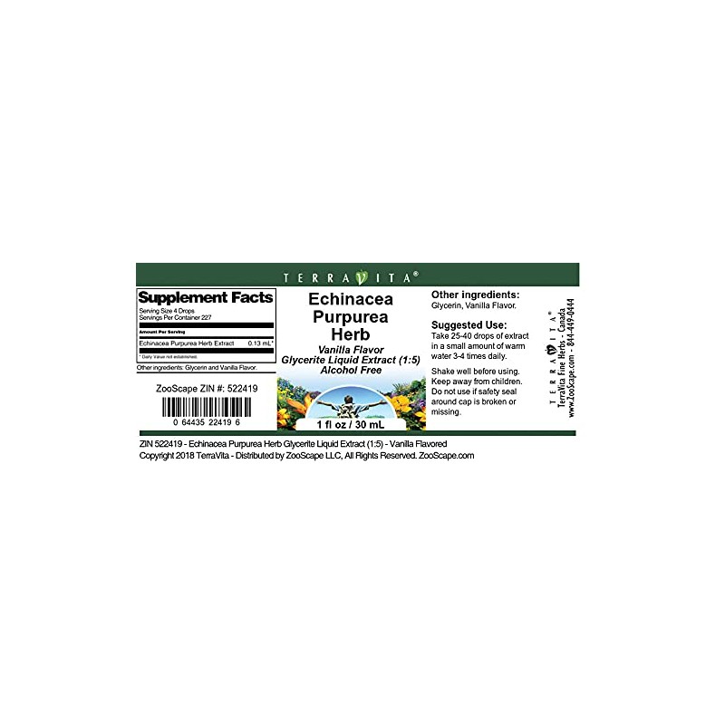 Terravita Echinacea Purpurea Herb Glycerite Liquid Extract (1:5) - Vanilla