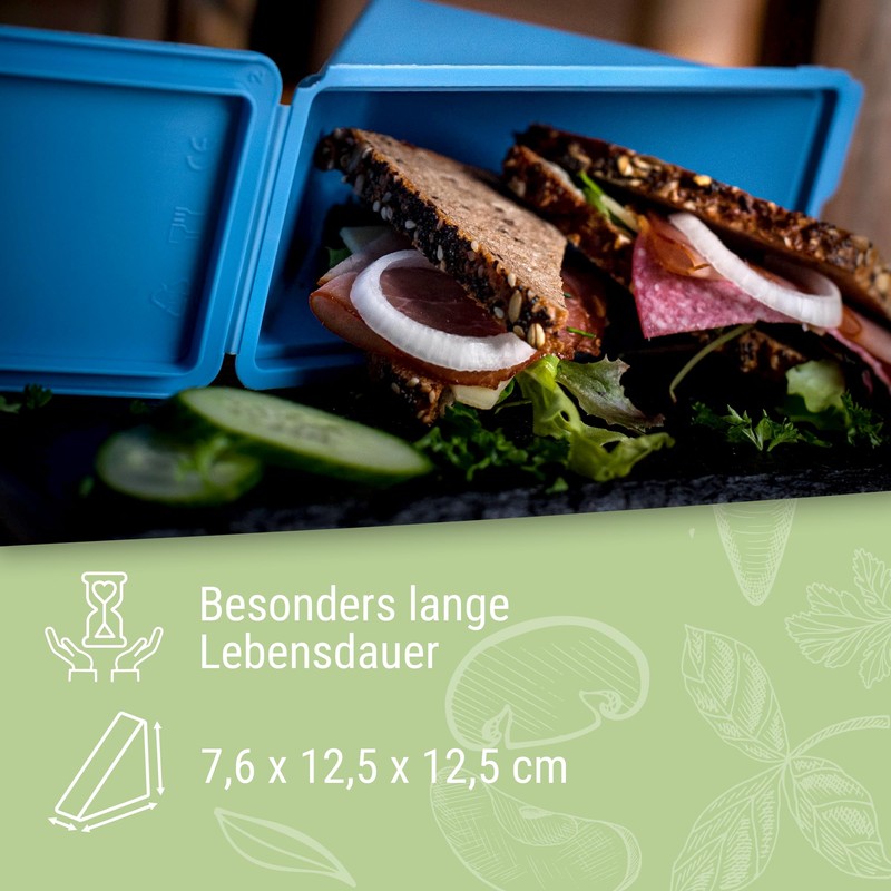 elastoREuse Sandwich Box Take Away Packaging - Food Container to
