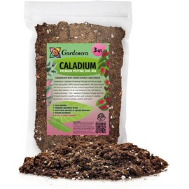 Gardenera Caladium Plant Potting Mix - Proven Formula for Thriving Caladium - Enhances Patterns and Vigorous Growth - 3 Quart
