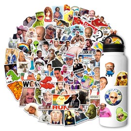 Nettorotes Expression Pack of 100 Stickers Laptop Sticker Bomb Vinyl Sticker Pack for Car Luggage Skateboard Motorcycle Sticker for Teenagers Adults