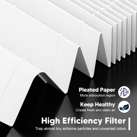 116130 Replacement Filter H for Winix 5500-2 AM80 Plasmawave Air Purifier, High Efficiency Filter and Activated Carbon Filter Combo Pack, 1 Set