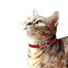WDPAWS Cat Collar, Kitten, Sparkling, Crystal Collar, Dog, Cute, Heart,