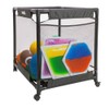 Excellerations Rolling Ball Cart