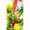 Suero De Granada Roja Hidratante Facial Antienvejecimiento