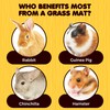 SunGrow Rabbit, Leopard Gecko & Guinea Pig Grass Chew Mat,