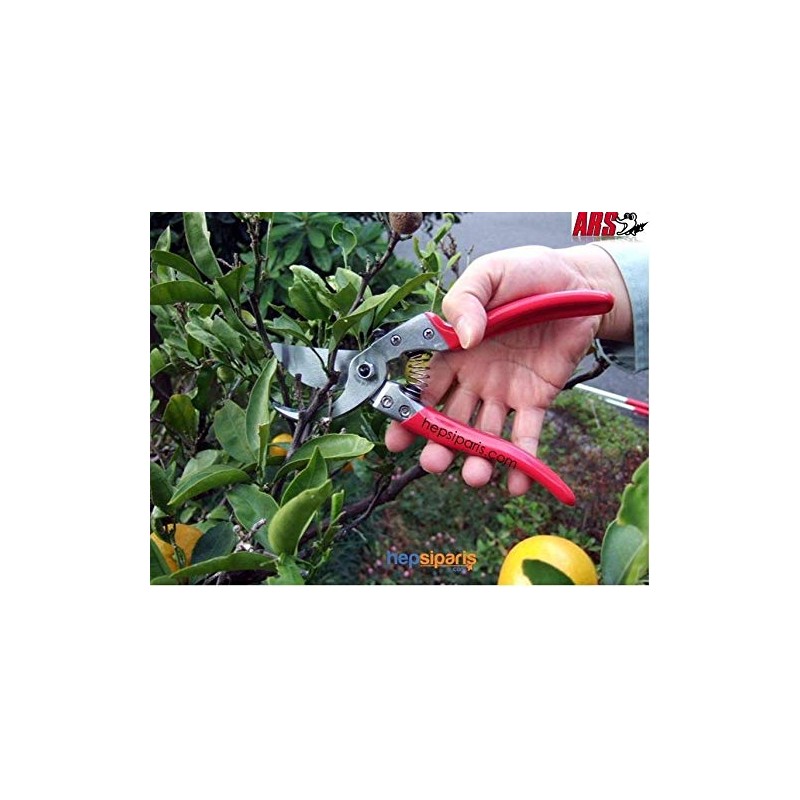 ARS HP-VS7XZ Heavy Duty Hand Pruner, 7", Red Handles