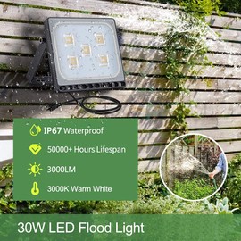 Fairyland LED Spotlight with Plug, 10 W, 20 W, 30 W, 50 W, 100 W, LED Flood Light, Flood Light, IP65 Waterproof, 30W
