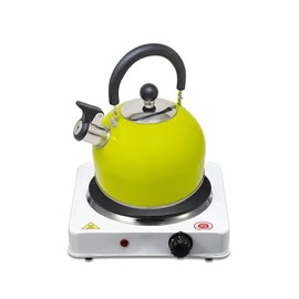 New Stainless Steel Whistling Kettle Light Weight Camping Kettle for Indoor & Outdoor Use Soft Grip Handle 2.5 LTR Capacity (Green)