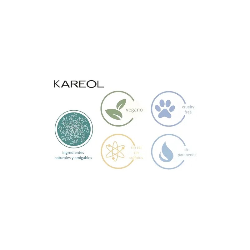 Kareol Braliss Shampoo Post- Alisado X 300 Ml