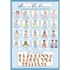 Tiger Moon American Sign Language - Basic Signs & Alphabet