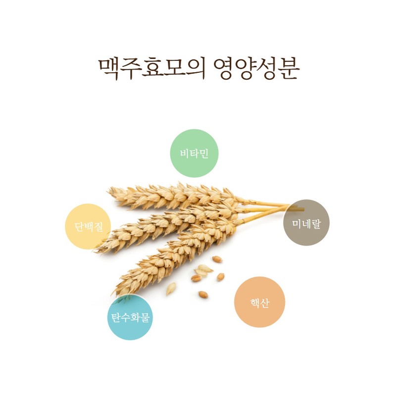Beneficial Brewer's Yeast Pills 100% dried brewer's yeast from Lithuania