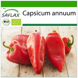 SAFLAX - Organic - Sweet Pepper - Long Red Marconi - 20 Seeds - with Potting Substrate for Better Cultivation - Capsicum annuum