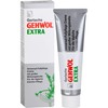 GEHWOL® Extra Foot Cream For Daily Intensive Care 75ml Tube