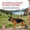Harness Lead No Pull Dog Harness and Leash Set, Anti