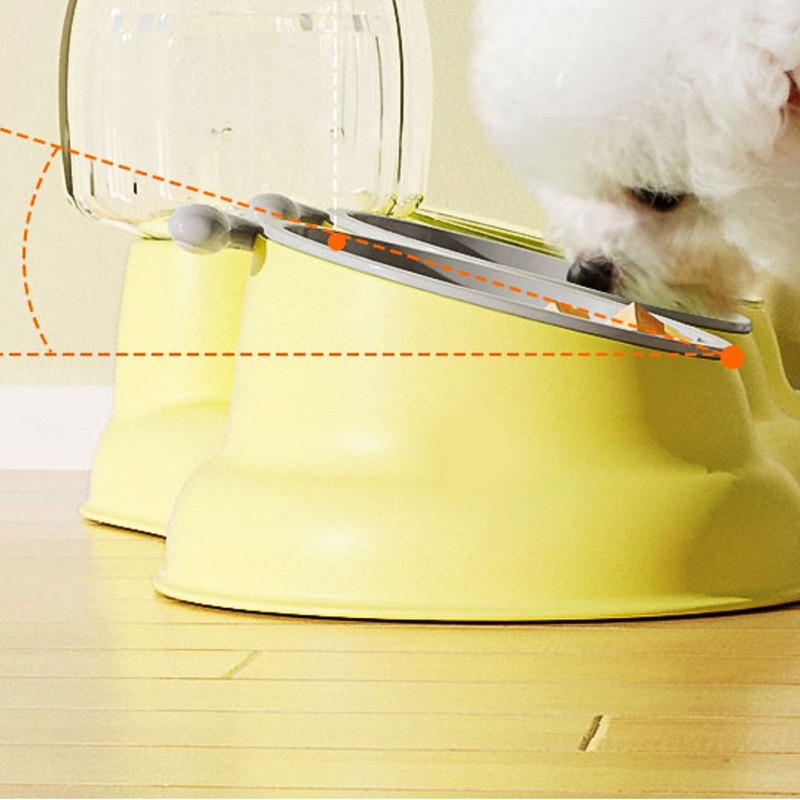 Pet Water Food Bowls 3 in 1 Prevent Slip Tilted