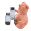 Ceramic Pig with Glass Salt & Pepper Shakers, Size L