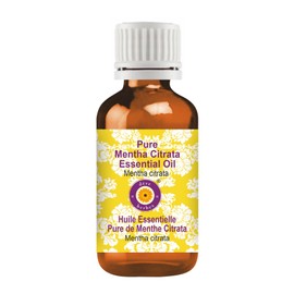 Deve Herbes Pure Mentha Citrata Essential Oil (Mentha citrata) Steam Distilled 100ml (3.38 oz)
