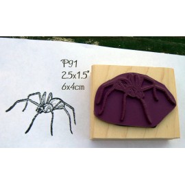 Dragonflylaser P91 spider rubber stamp large