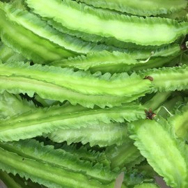 10 Winged Bean Seeds for Planting - Easy to Grow Exotic Asian Winged Bean