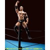 Tamashii Nations 51000 "WWE The Rock Shfiguarts Figure