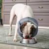 IECOii Dog Cone for Dogs After Surgery,Adjustable Protective Recovery Collars