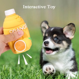 Lamca Squeaky Dog Toys, Funny Orange Juice Bottle Interactive Squeaking Toys Puppy Chew Toys for Playing Chewing Teeth Cleaning