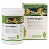 ArthroRegen 160 Tablets for Joint Problems SaluVet