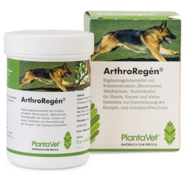 ArthroRegen 160 Tablets for Joint Problems SaluVet