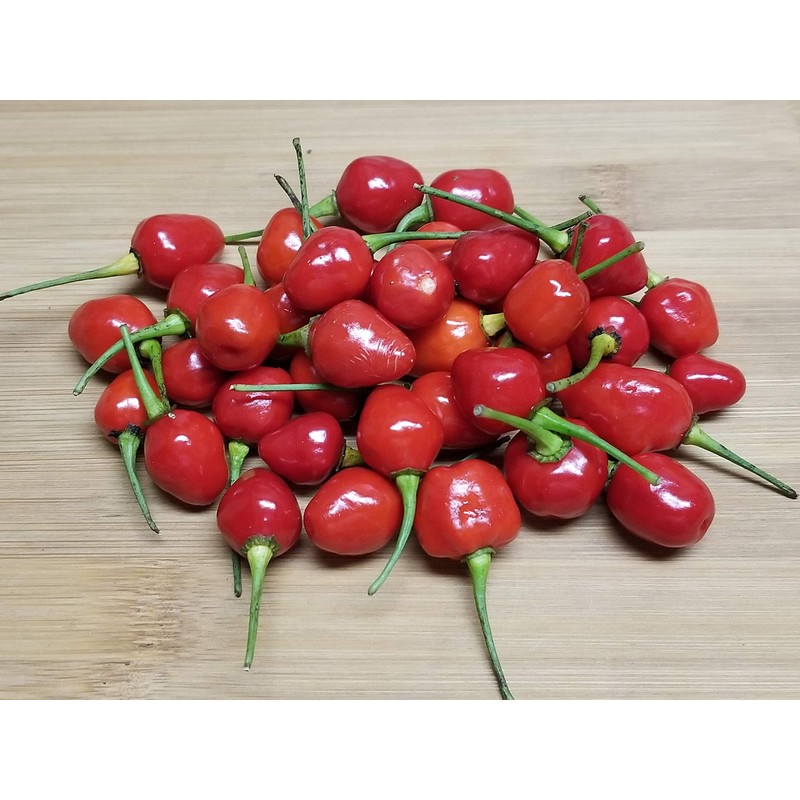 Wiri Wiri Chile Seeds 10+ Seeds