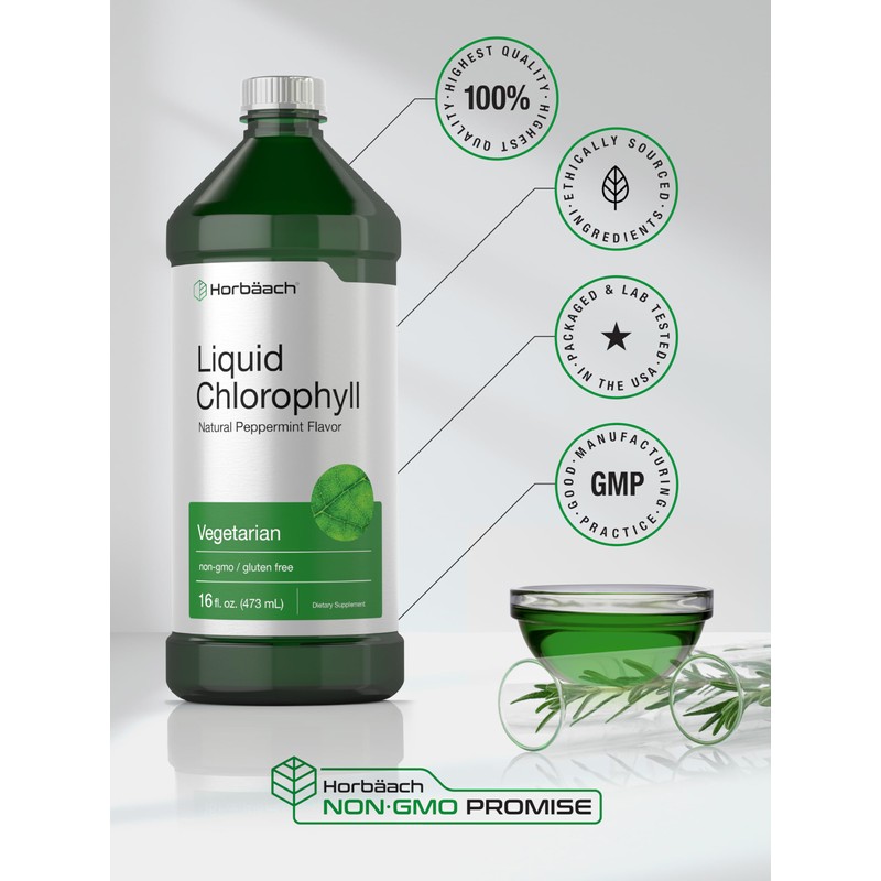 Horbäach Chlorophyll Liquid Drops | 100mg | 32 oz (2