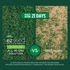 Scotts EZ Seed Patch & Repair Tall Fescue Lawns Combination
